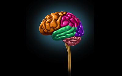 Colored brain on a black background