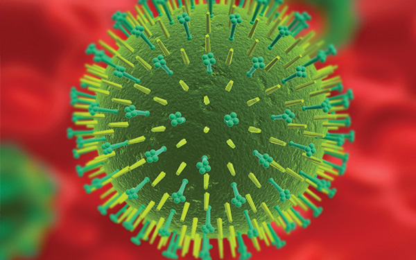 The flu virus